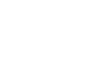 Black Swan Group